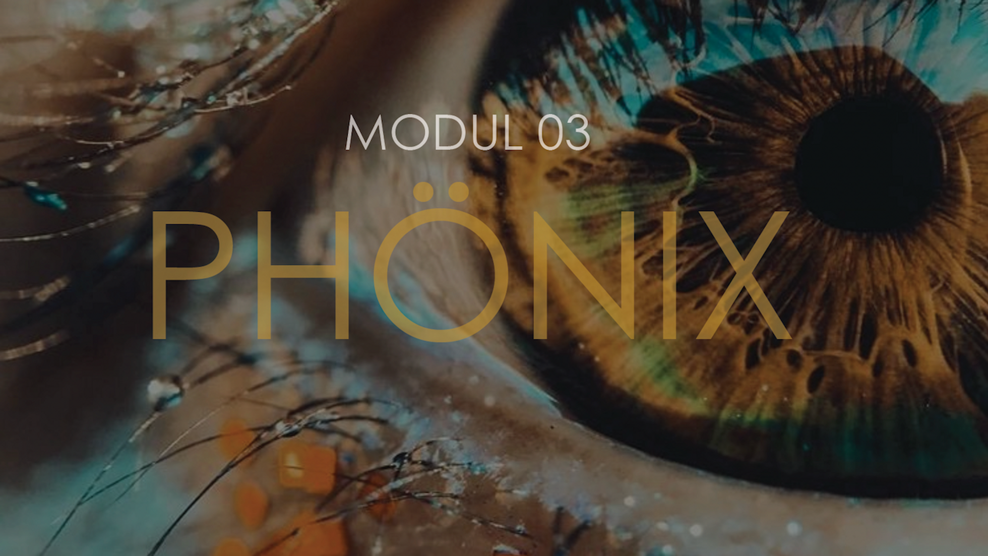 Phönix | Modul 03
